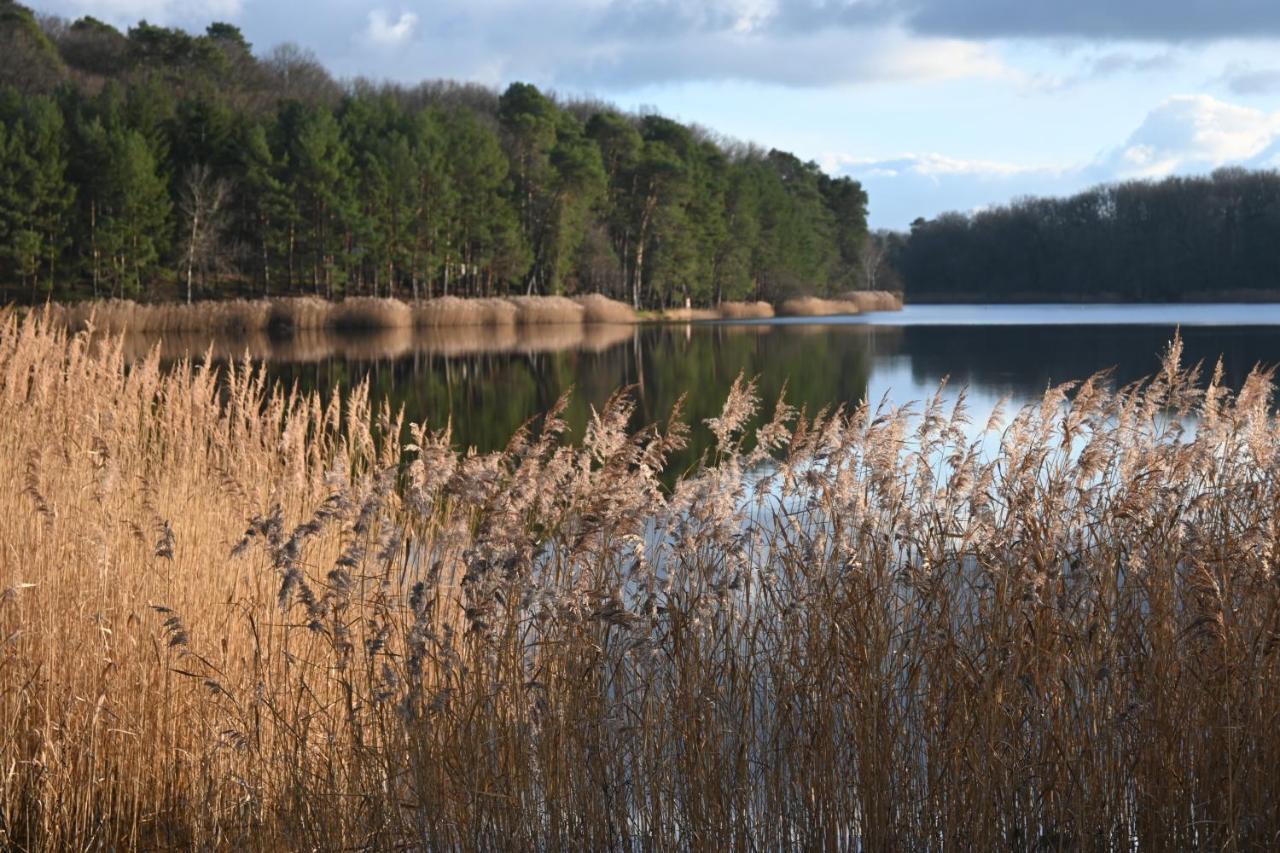 Aux 3 Forets Bizeneuille Kültér fotó